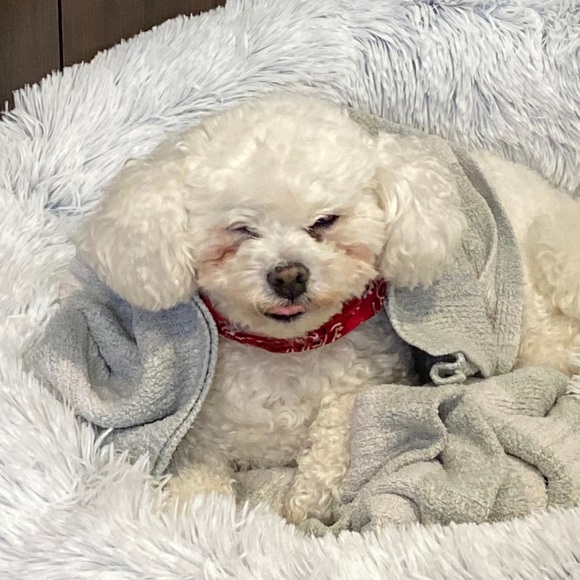 Meet your Posher, Diane - Picture 1 of 1